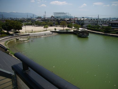 100_0009.jpg